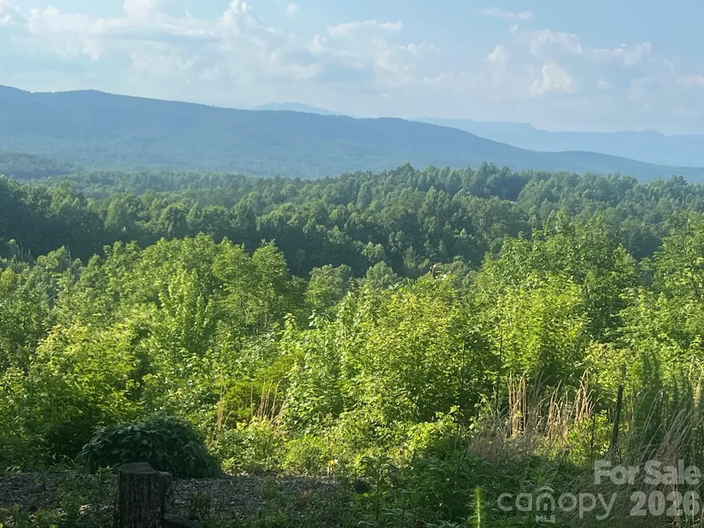 253 Falls Creek Drive Nebo NC 28761