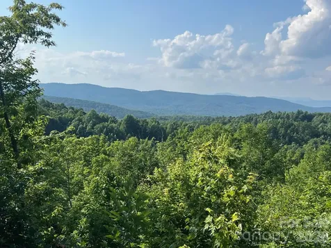 253 Falls Creek Drive Nebo NC 28761