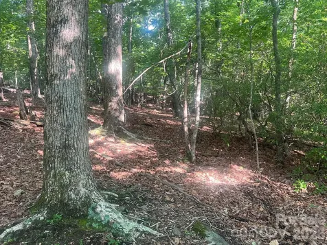 253 Falls Creek Drive Nebo NC 28761