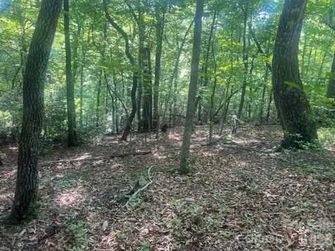 253 Falls Creek Drive Nebo NC 28761