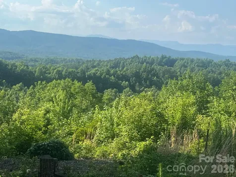 253 Falls Creek Drive Nebo NC 28761
