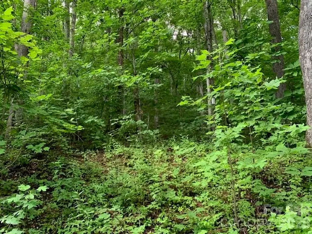 Tbd Whitewater Cove Montreat NC 28757