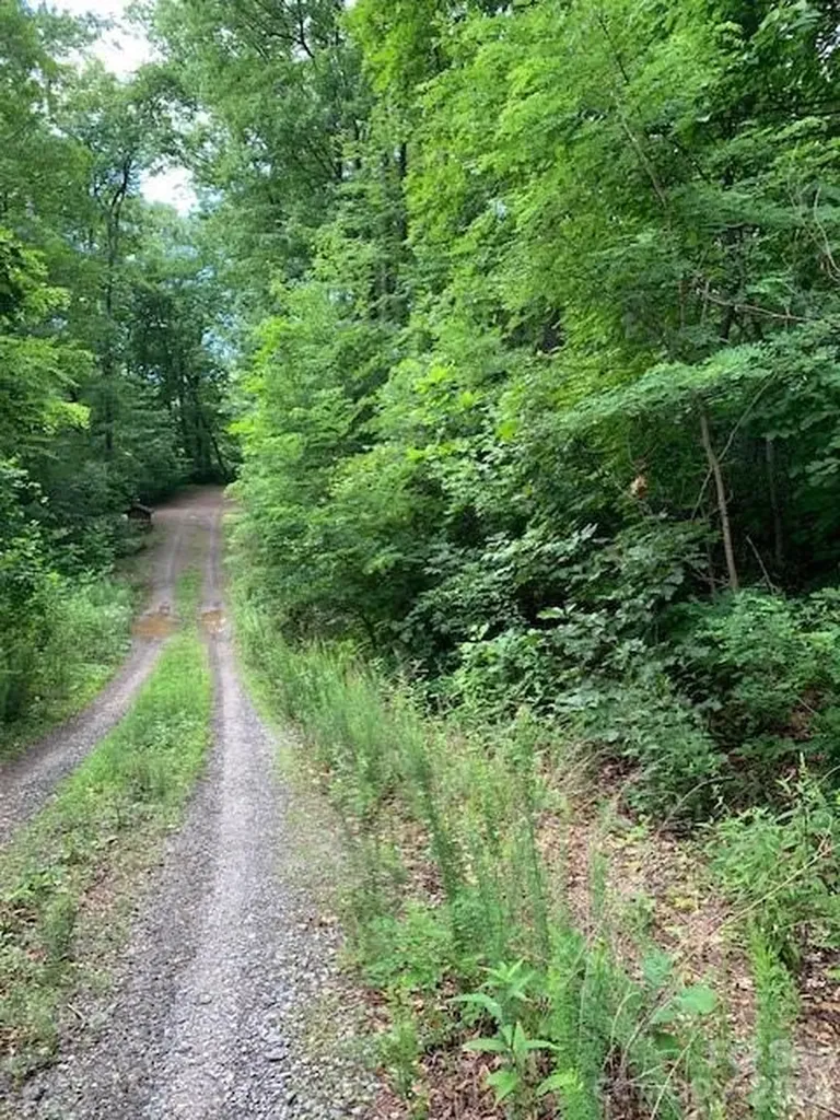Tbd Whitewater Cove Montreat NC 28757