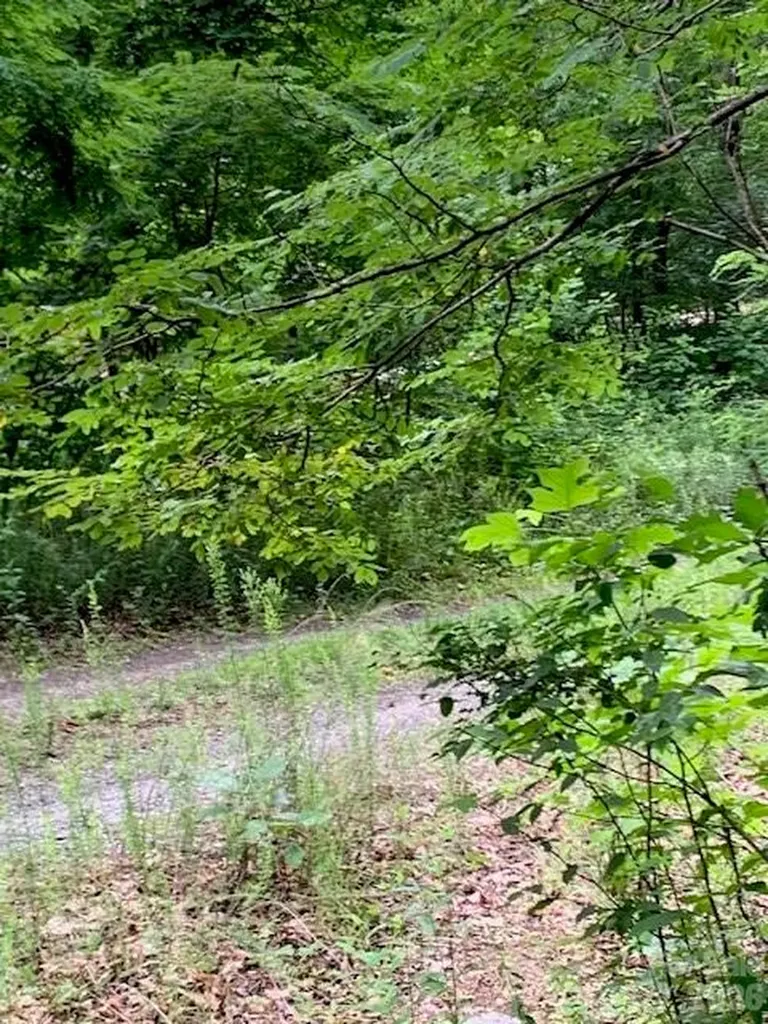 Tbd Whitewater Cove Montreat NC 28757