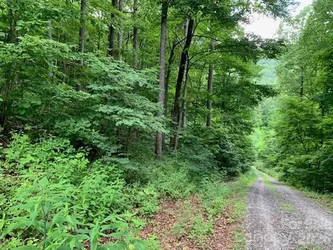 Tbd Whitewater Cove Montreat NC 28757