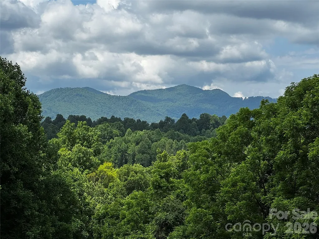 1327 Nc 80 Highway Bakersville NC 28705