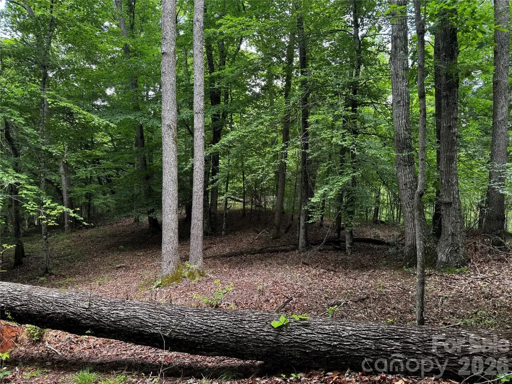 1327 Nc 80 Highway Bakersville NC 28705