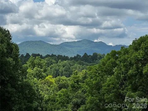 1327 Nc 80 Highway Bakersville NC 28705