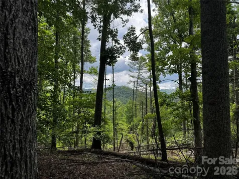 1327 Nc 80 Highway Bakersville NC 28705