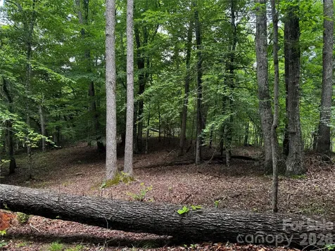 1327 Nc 80 Highway Bakersville NC 28705