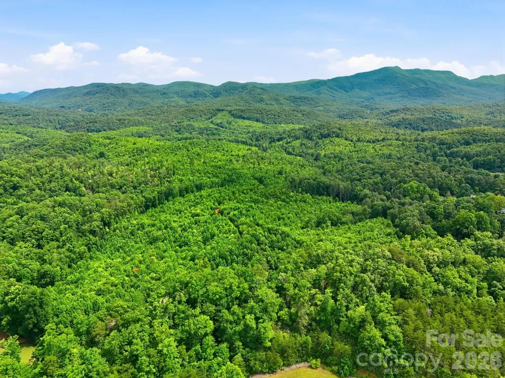 2319 Parker Padgett Road Old Fort NC 28762