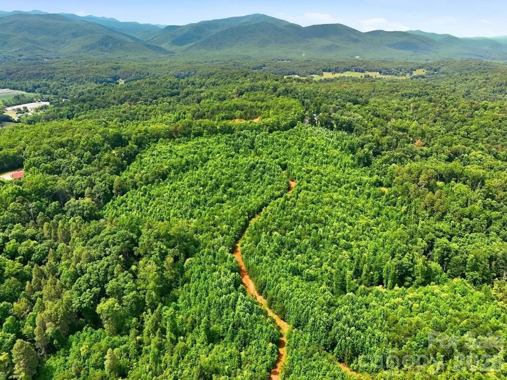 2319 Parker Padgett Road Old Fort NC 28762