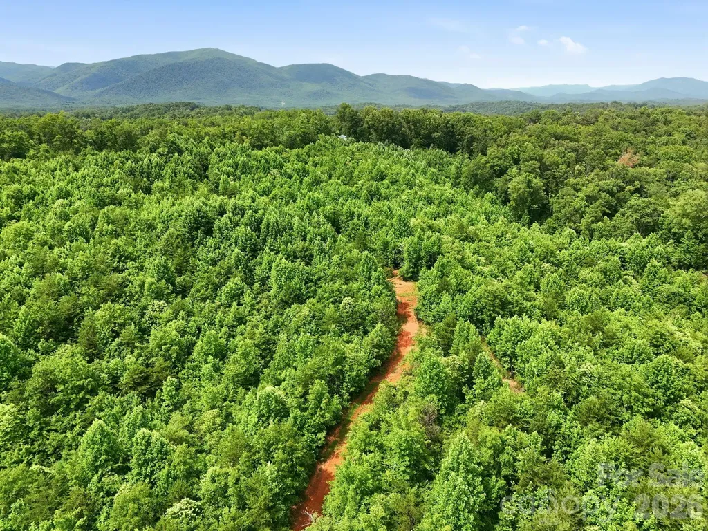 2319 Parker Padgett Road Old Fort NC 28762