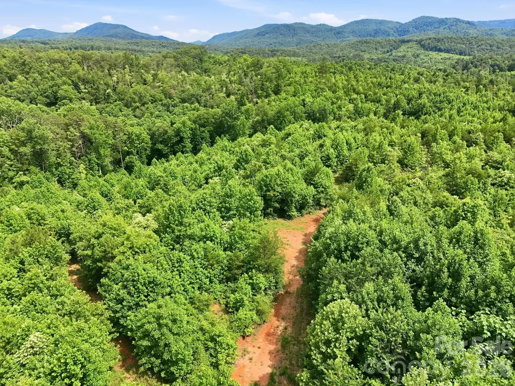 2319 Parker Padgett Road Old Fort NC 28762