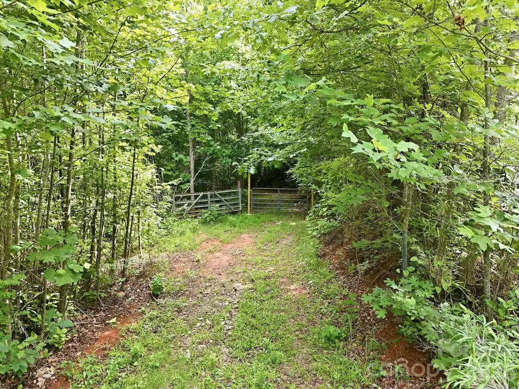 2319 Parker Padgett Road Old Fort NC 28762