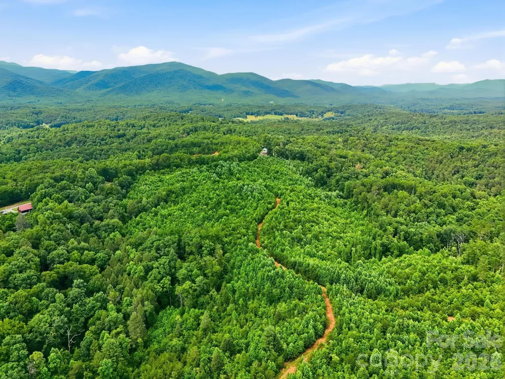 2319 Parker Padgett Road Old Fort NC 28762