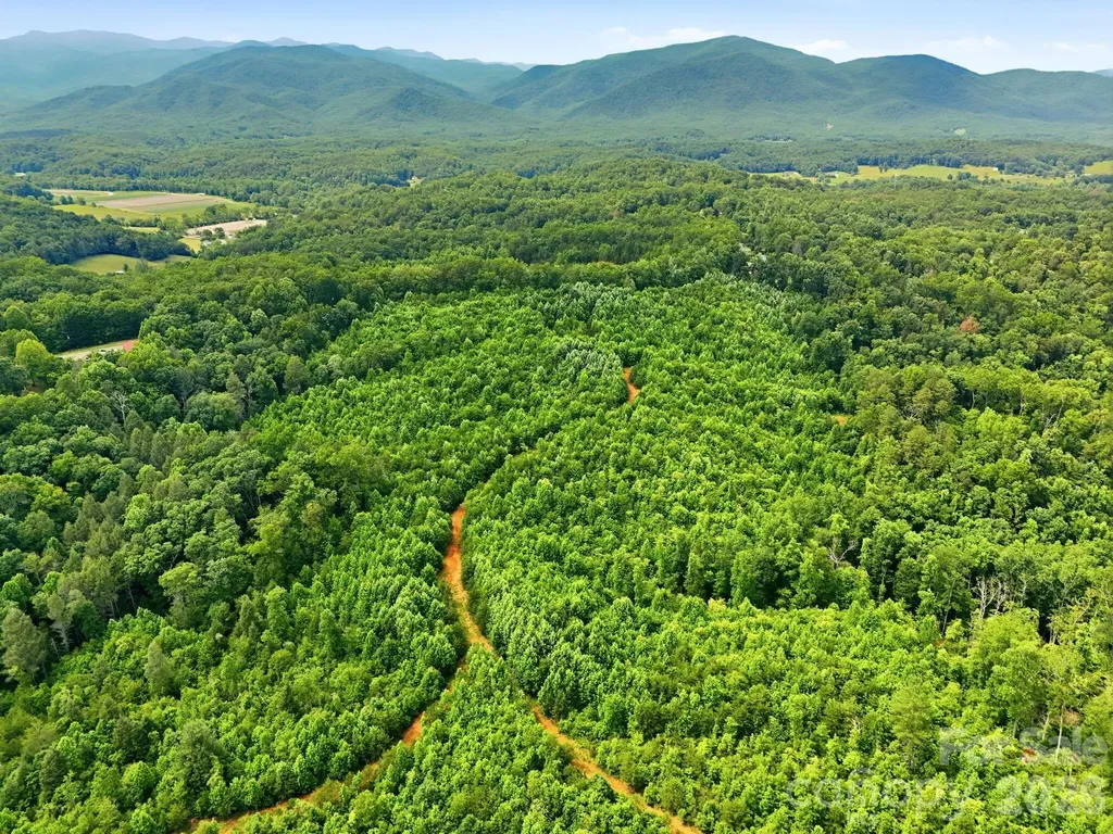 2319 Parker Padgett Road Old Fort NC 28762