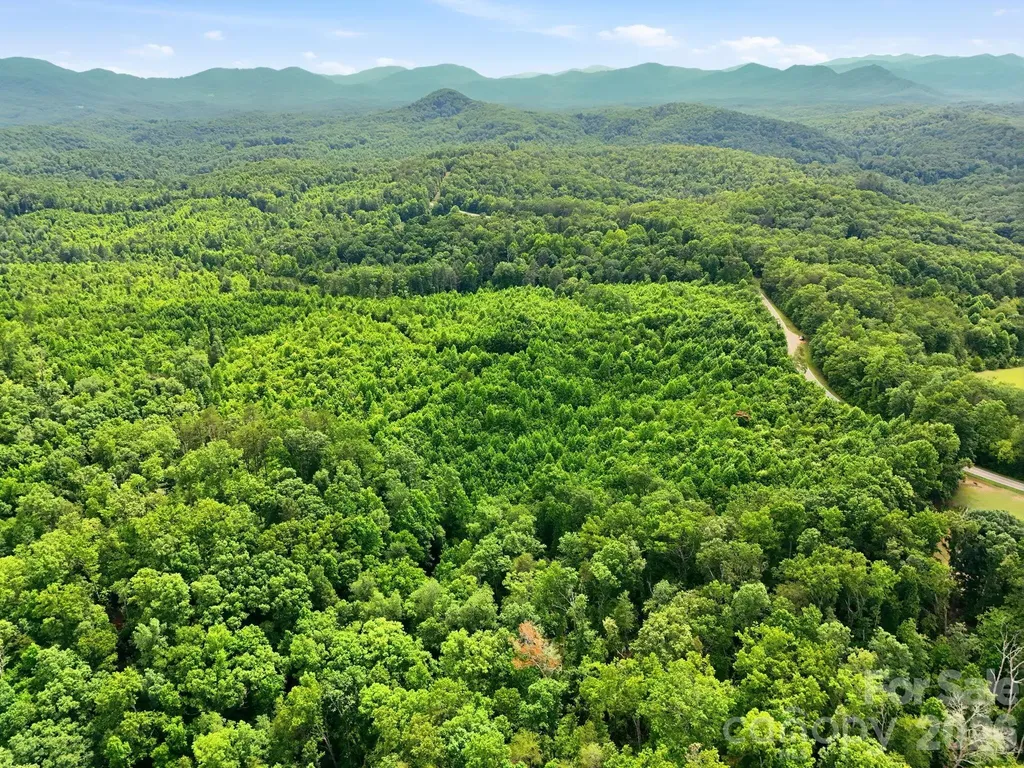 2319 Parker Padgett Road Old Fort NC 28762