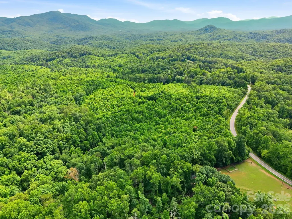 2319 Parker Padgett Road Old Fort NC 28762