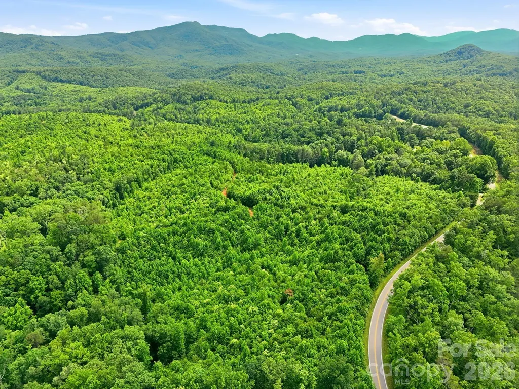 2319 Parker Padgett Road Old Fort NC 28762