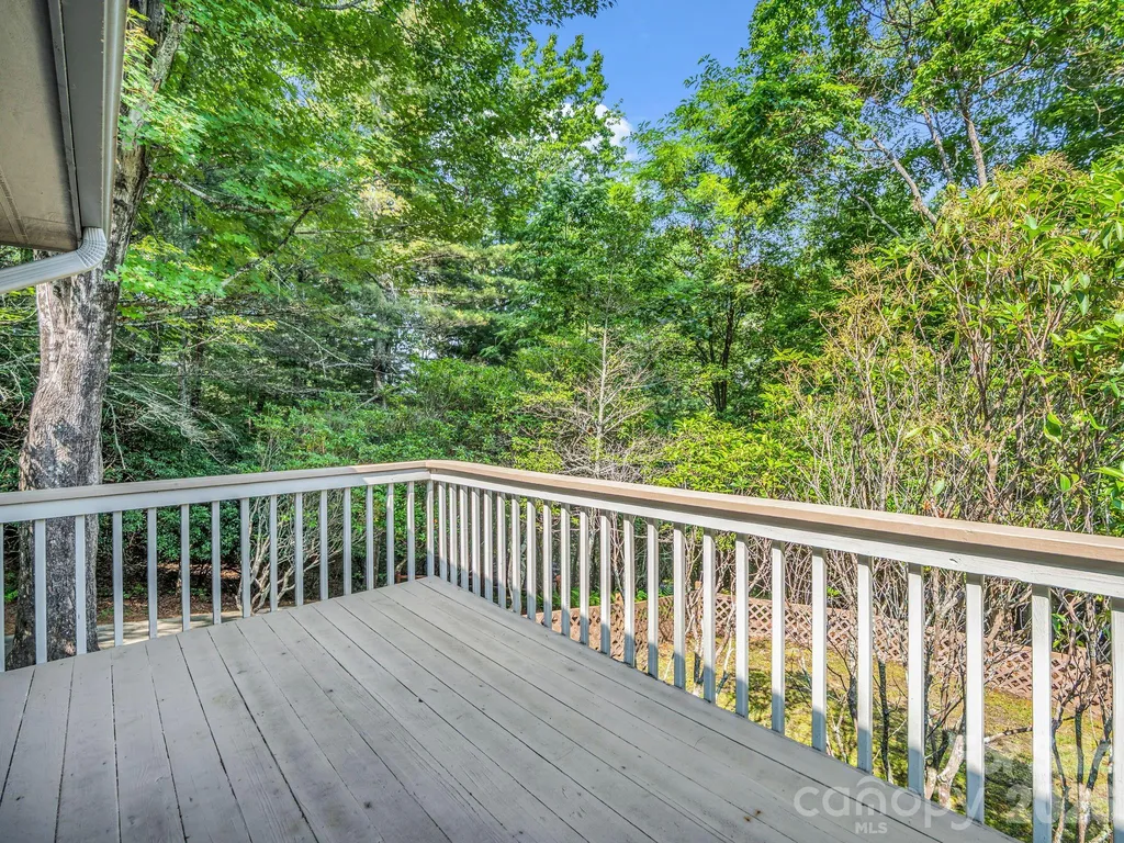 59 Agaliha Lane Brevard NC 28712