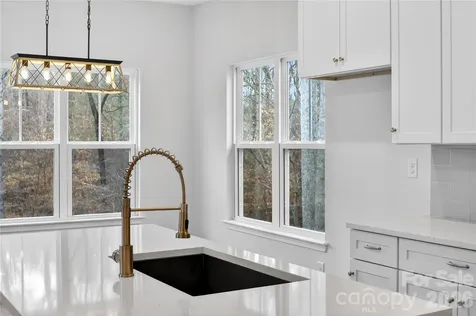 229 Shenandoah Loop Troutman NC 28166