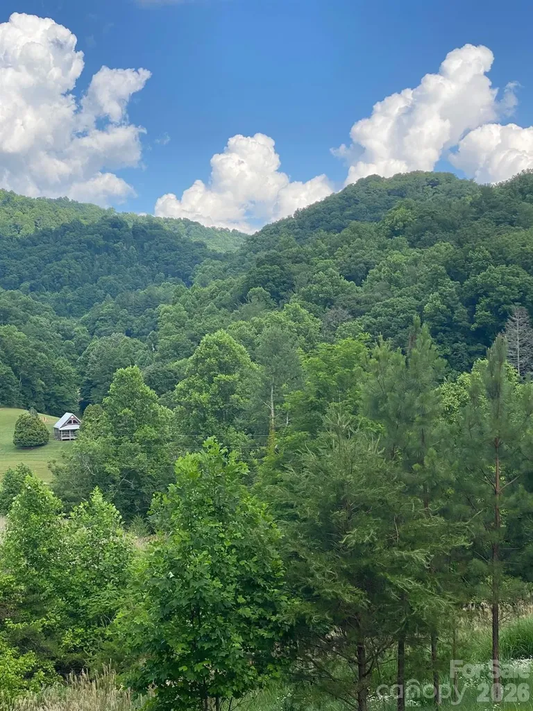 000 East Fork Road Marshall NC 28753