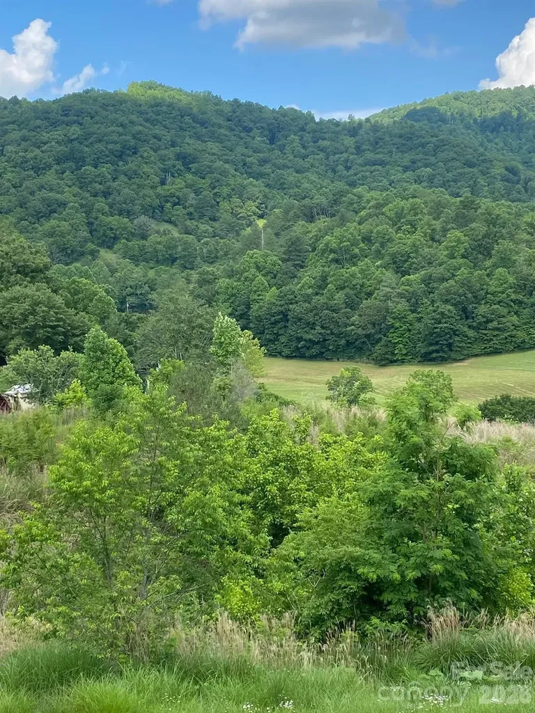 000 East Fork Road Marshall NC 28753