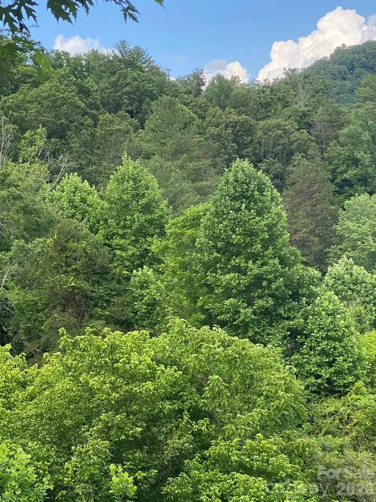 000 East Fork Road Marshall NC 28753