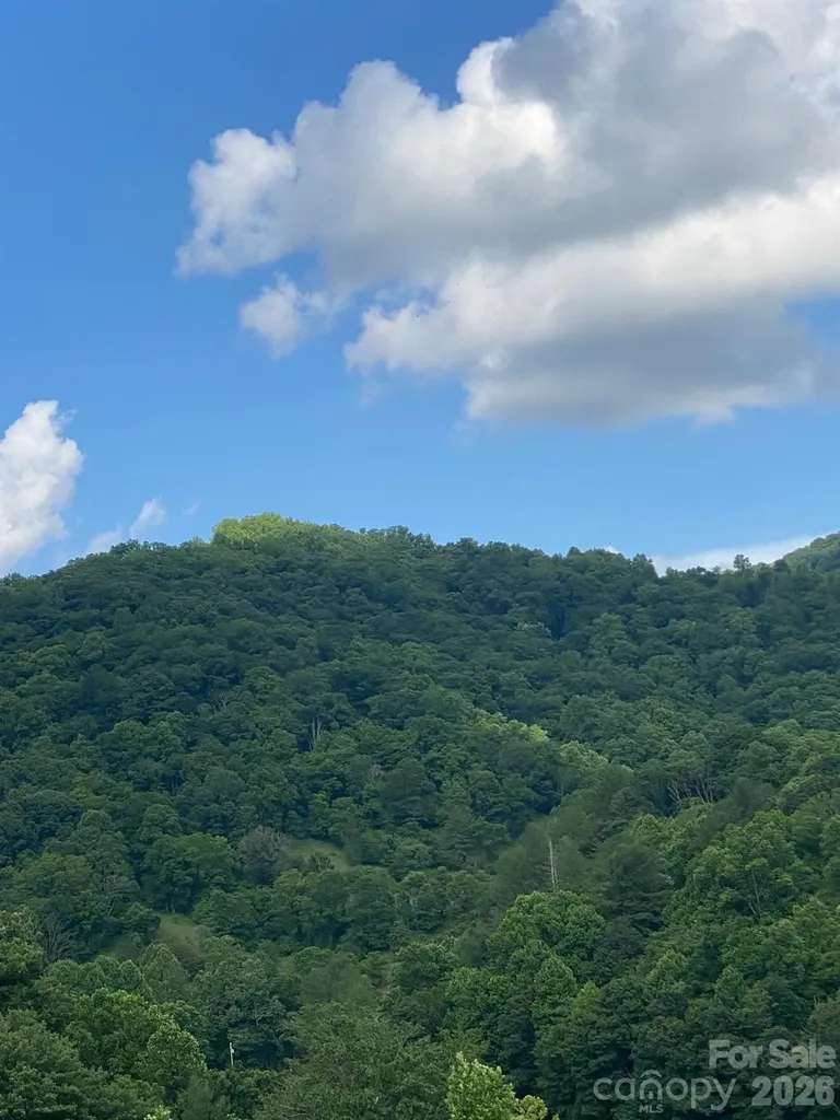 000 East Fork Road Marshall NC 28753