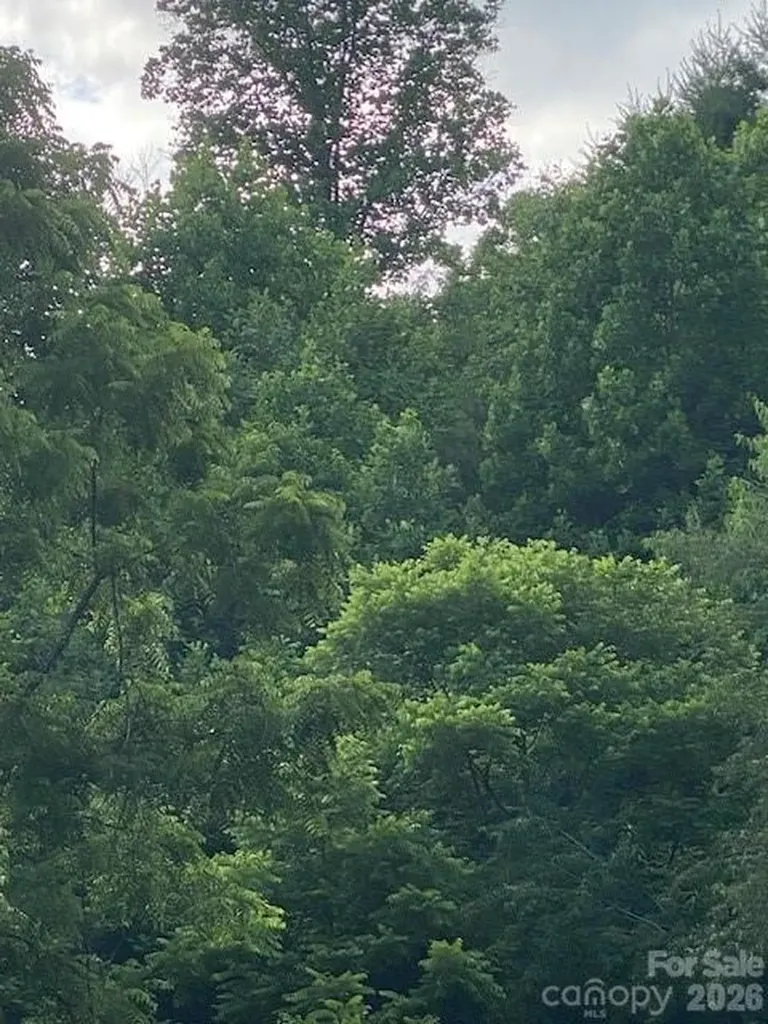 000 East Fork Road Marshall NC 28753