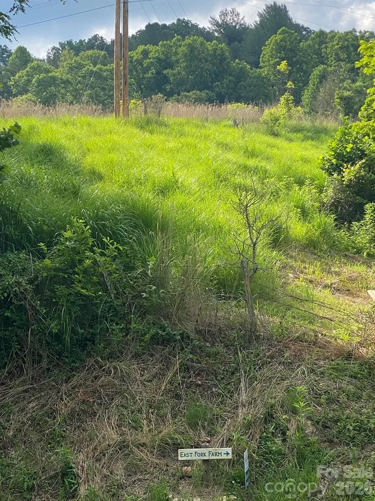 000 East Fork Road Marshall NC 28753