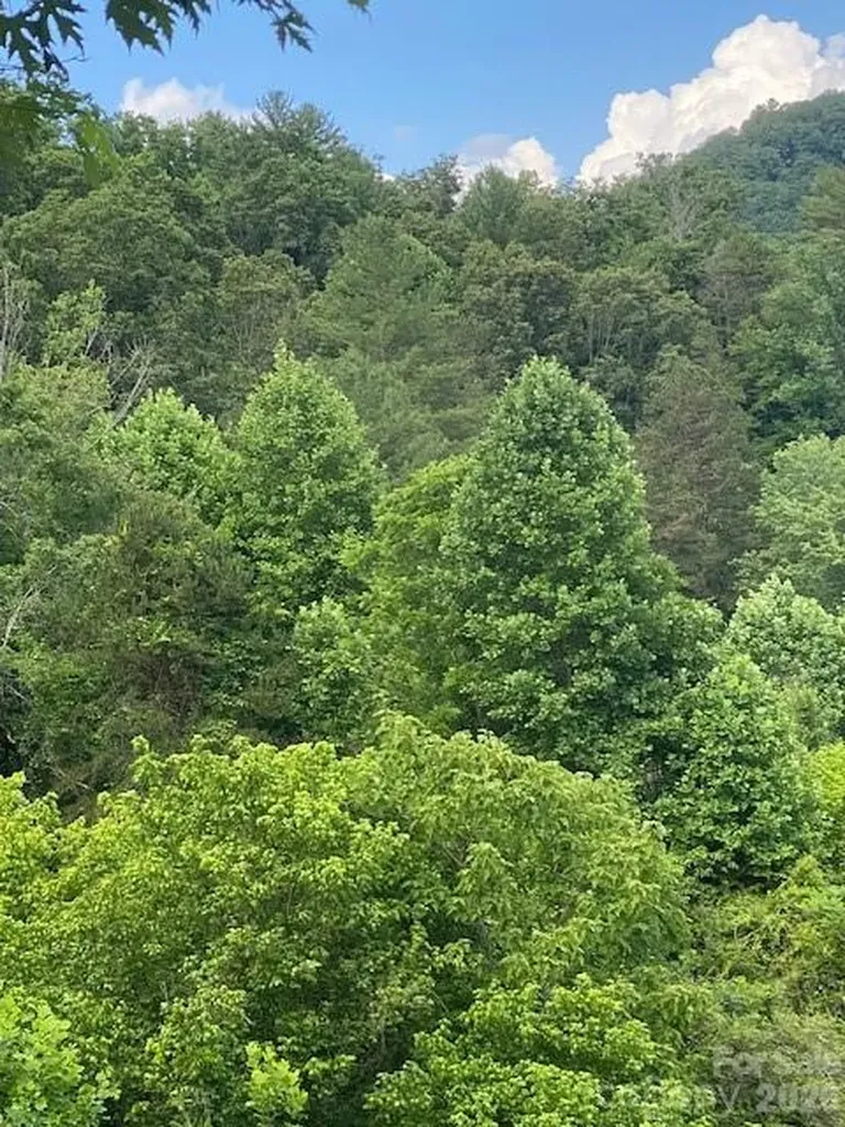 000 East Fork Road Marshall NC 28753