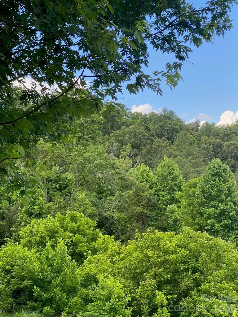 000 East Fork Road Marshall NC 28753
