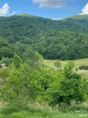 000 East Fork Road Marshall NC 28753