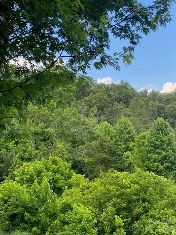 000 East Fork Road Marshall NC 28753