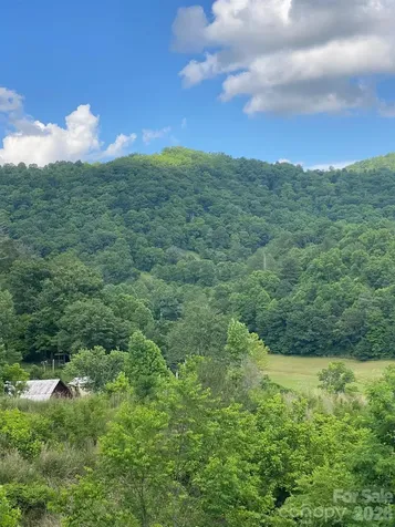 000 East Fork Road Marshall NC 28753