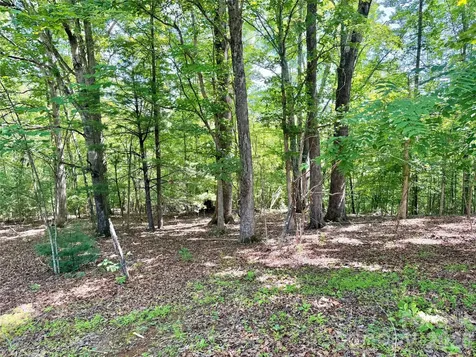 185 Dulaney Drive Nebo NC 28761