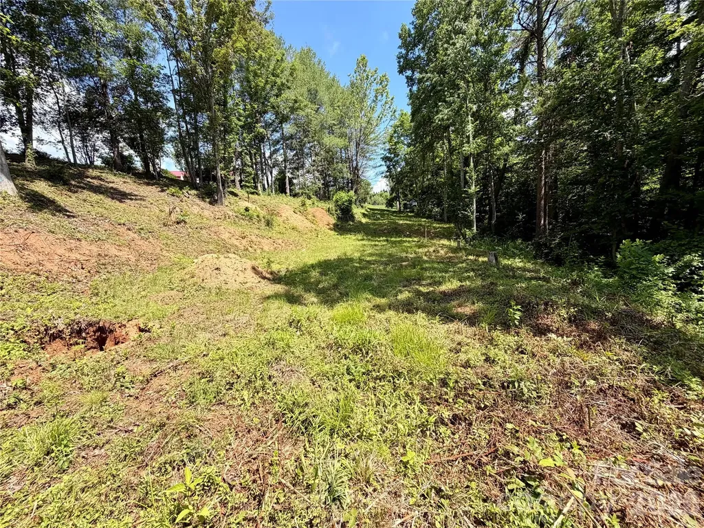 12 Willow Knoll Drive Weaverville NC 28787