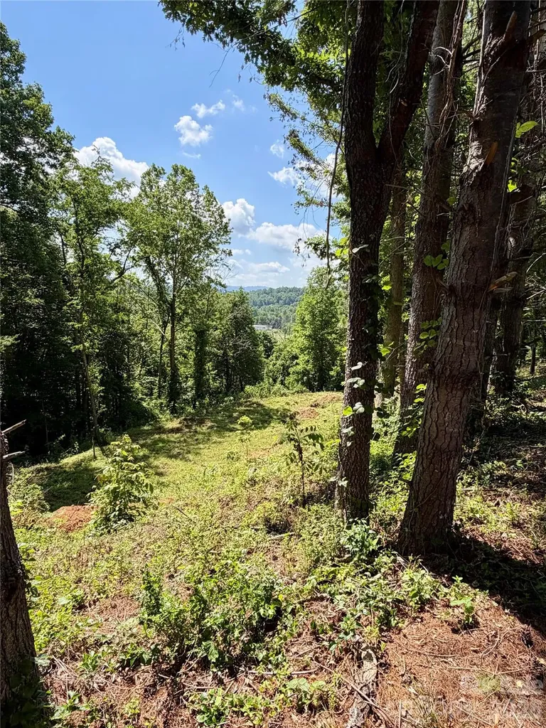 12 Willow Knoll Drive Weaverville NC 28787