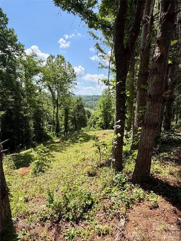 12 Willow Knoll Drive Weaverville NC 28787
