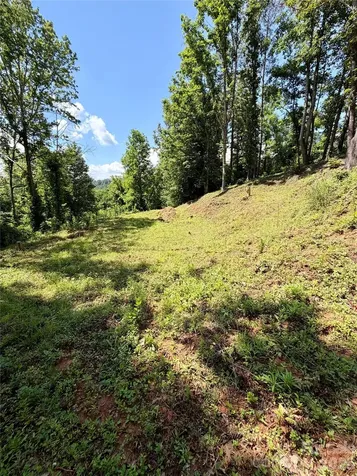 12 Willow Knoll Drive Weaverville NC 28787