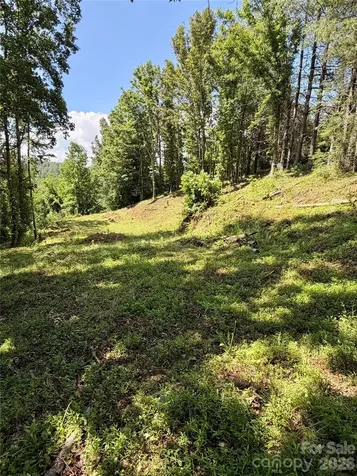 12 Willow Knoll Drive Weaverville NC 28787