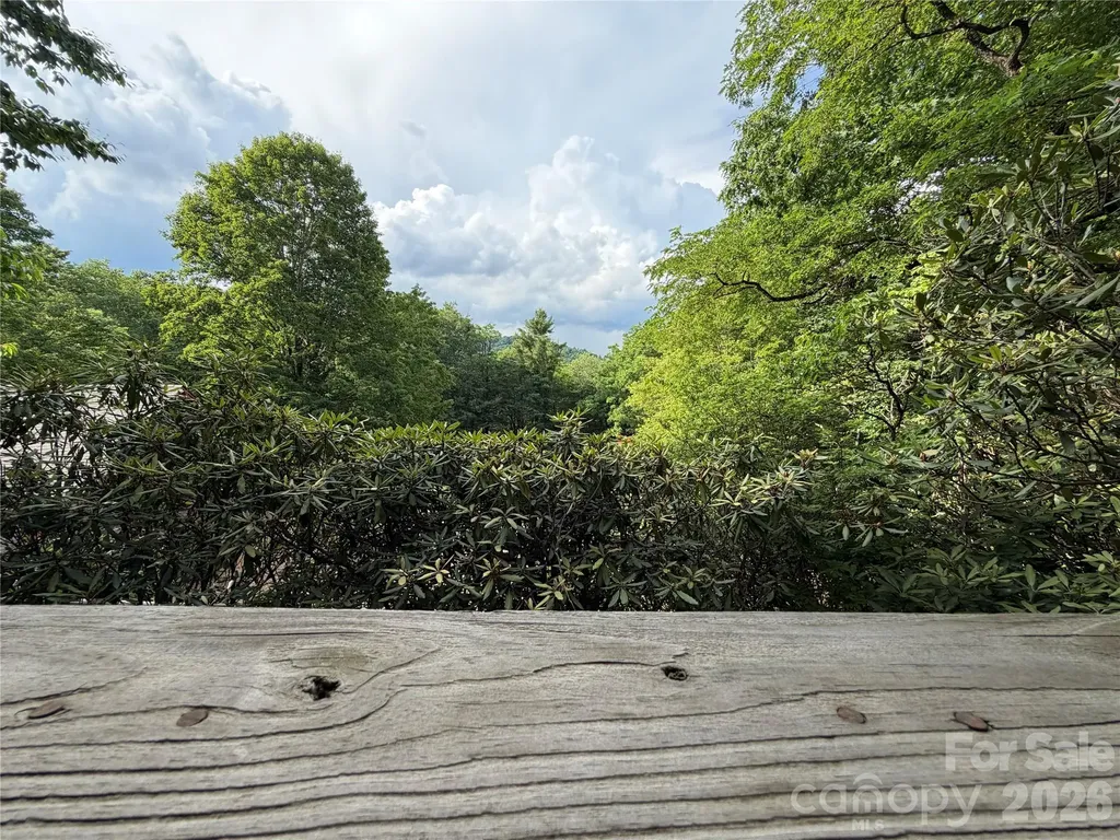 225 High Ridge Road Little Switzerland NC 28749