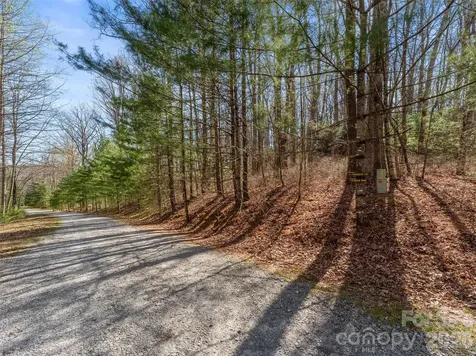 Tbd White Oak Terrace Brevard NC 28712