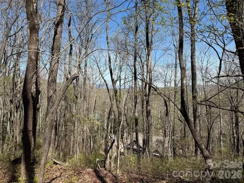 Tbd White Oak Terrace Brevard NC 28712