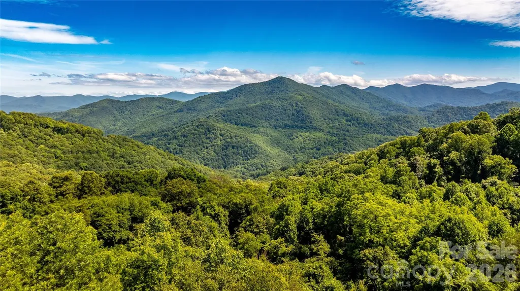 0000 High Rock View Drive Canton NC 28716