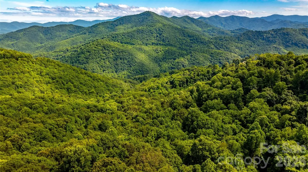 0000 High Rock View Drive Canton NC 28716
