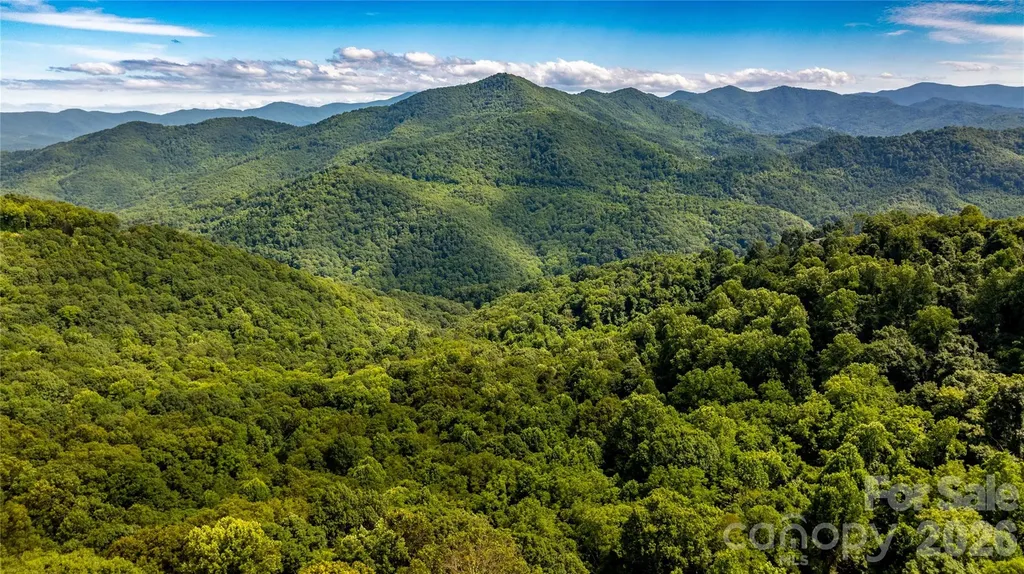 0000 High Rock View Drive Canton NC 28716