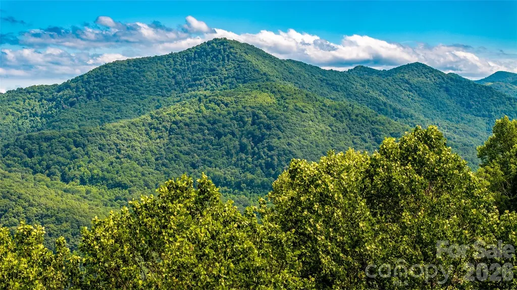 0000 High Rock View Drive Canton NC 28716